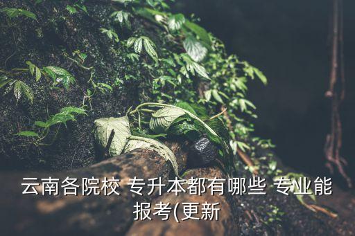 云南各院校 專升本都有哪些 專業(yè)能報考(更新