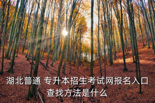 湖北普通 專升本招生考試網(wǎng)報名入口查找方法是什么