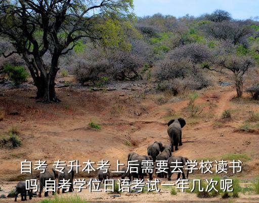  自考 專升本考上后需要去學(xué)校讀書嗎 自考學(xué)位日語考試一年幾次呢