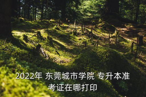 2022年 東莞城市學(xué)院 專升本準(zhǔn)考證在哪打印