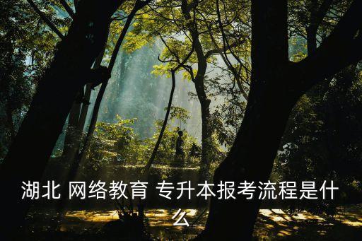 湖北 網(wǎng)絡(luò)教育 專升本報(bào)考流程是什么