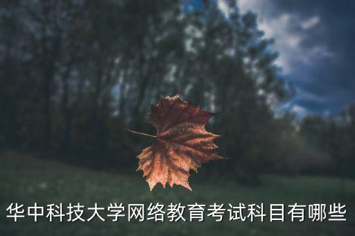 華中科技大學(xué)網(wǎng)絡(luò)教育考試科目有哪些