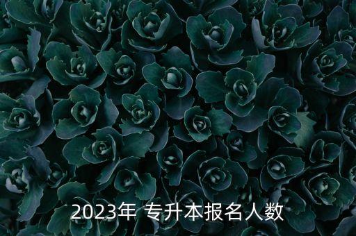 2023年 專升本報名人數(shù)