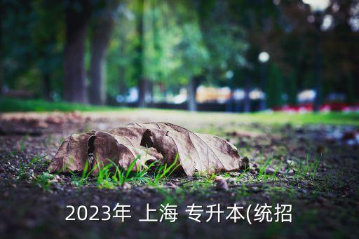 2023年 上海 專升本(統(tǒng)招