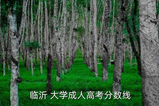 臨沂大學(xué)專升本投檔線