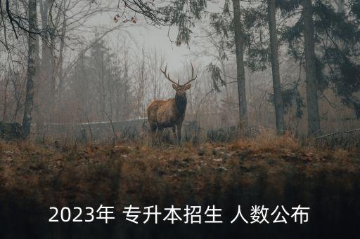 2023年 專升本招生 人數(shù)公布