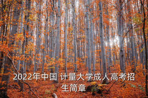 2022年中國 計(jì)量大學(xué)成人高考招生簡(jiǎn)章