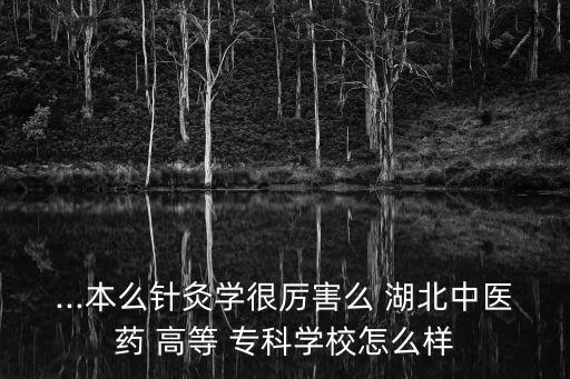 湖北高等醫(yī)學專科學?？梢詫Ｉ締?湖北中醫(yī)藥高等醫(yī)學?？茖W校