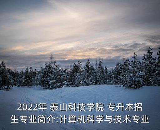 2022年 泰山科技學院 專升本招生專業(yè)簡介:計算機科學與技術專業(yè)