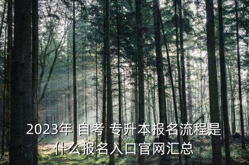 2023年 自考 專(zhuān)升本報(bào)名流程是什么報(bào)名入口官網(wǎng)匯總