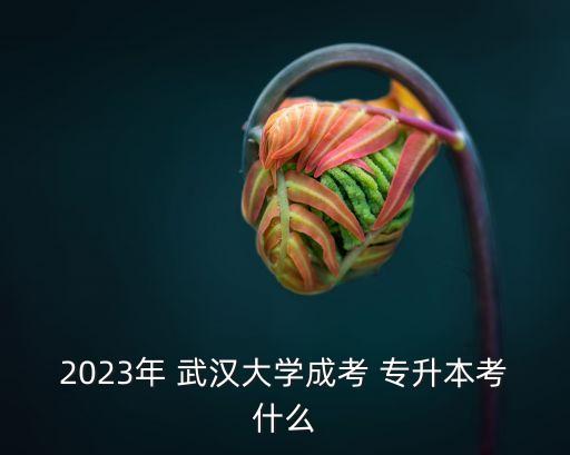 2023年 武漢大學成考 專升本考什么