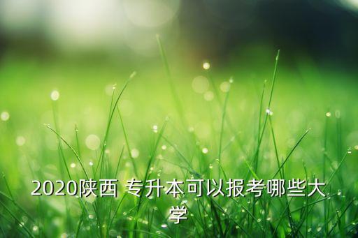 2020陜西 專升本可以報(bào)考哪些大學(xué)