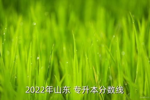 2022年山東 專升本分?jǐn)?shù)線