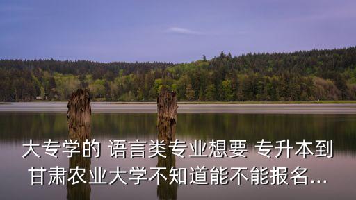 大專學的 語言類專業(yè)想要 專升本到甘肅農(nóng)業(yè)大學不知道能不能報名...