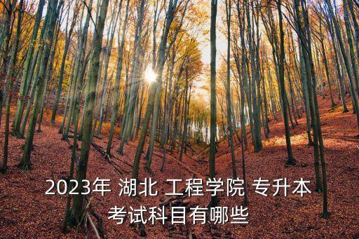 2023年 湖北 工程學(xué)院 專(zhuān)升本考試科目有哪些