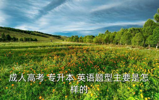 成人高考 專(zhuān)升本 英語(yǔ)題型主要是怎樣的