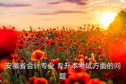 安徽省會(huì)計(jì)專業(yè) 專升本考試方面的問題