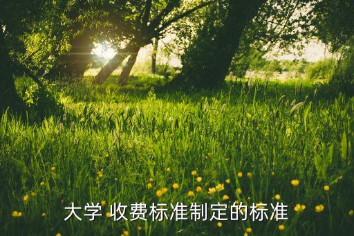 大學(xué) 收費(fèi)標(biāo)準(zhǔn)制定的標(biāo)準(zhǔn)