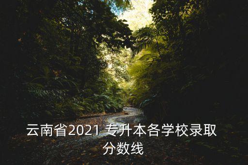 云南省2021 專升本各學(xué)校錄取 分?jǐn)?shù)線