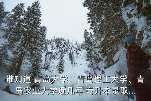 誰知道 青島大學、青島理工大學、青島農(nóng)業(yè)大學近幾年 專升本錄取...