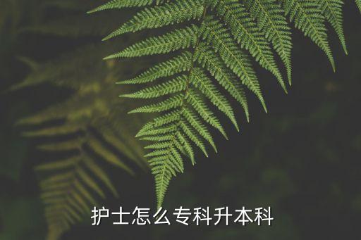  護(hù)士怎么專(zhuān)科升本科