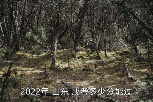 2022年 山東 成考多少分能過