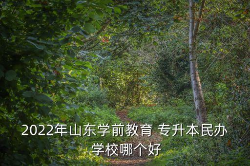 2022年山東學(xué)前教育 專升本民辦 學(xué)校哪個(gè)好