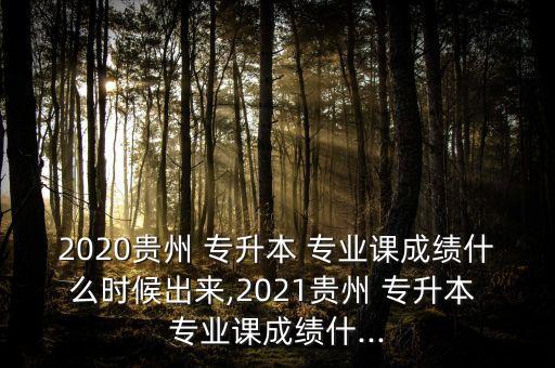 2020貴州 專升本 專業(yè)課成績什么時候出來,2021貴州 專升本 專業(yè)課成績什...