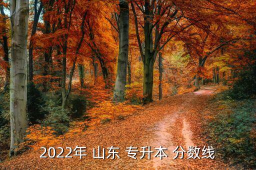 2022年 山東 專升本 分?jǐn)?shù)線