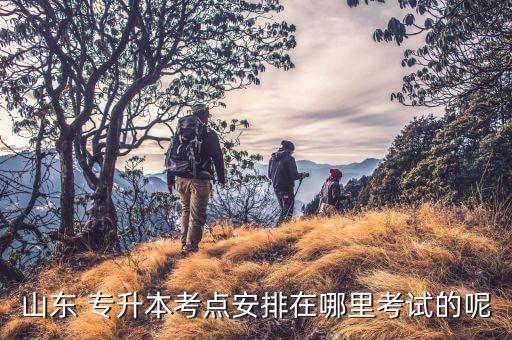 山東 專升本考點(diǎn)安排在哪里考試的呢