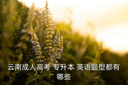 云南成人高考 專升本 英語(yǔ)題型都有哪些