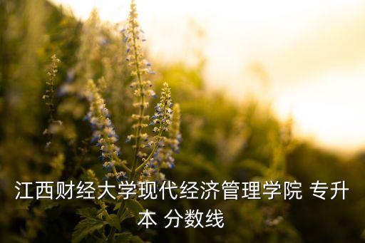 江西財經(jīng)大學現(xiàn)代經(jīng)濟管理學院 專升本 分數(shù)線