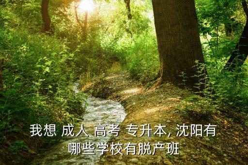 我想 成人 高考 專升本, 沈陽有哪些學(xué)校有脫產(chǎn)班