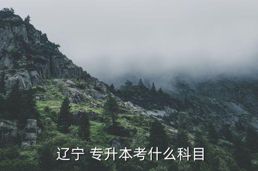 遼寧專升本有哪些專業(yè)嗎