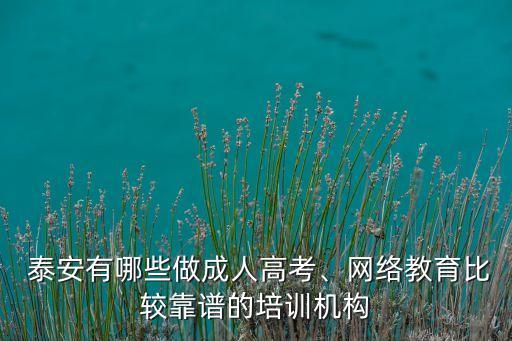  泰安有哪些做成人高考、網(wǎng)絡教育比較靠譜的培訓機構(gòu)