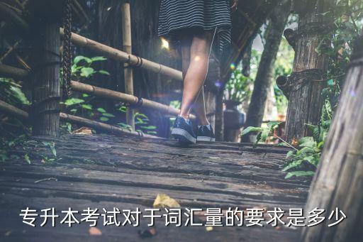  專升本考試對(duì)于詞匯量的要求是多少