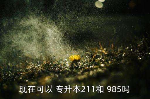 現在可以 專升本211和 985嗎