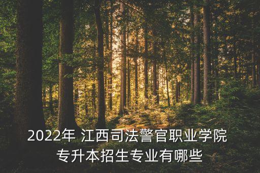 2022年 江西司法警官職業(yè)學(xué)院 專升本招生專業(yè)有哪些