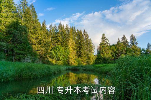 四川專升本語文重點(diǎn)文章,貴州專升本語文重點(diǎn)文章