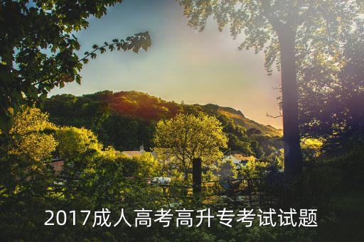 2017成人高考高升?？荚囋囶}