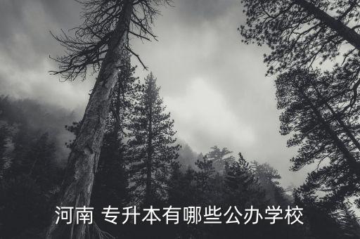 河南 專升本有哪些公辦學(xué)校