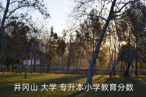  井岡山 大學(xué) 專(zhuān)升本小學(xué)教育分?jǐn)?shù)