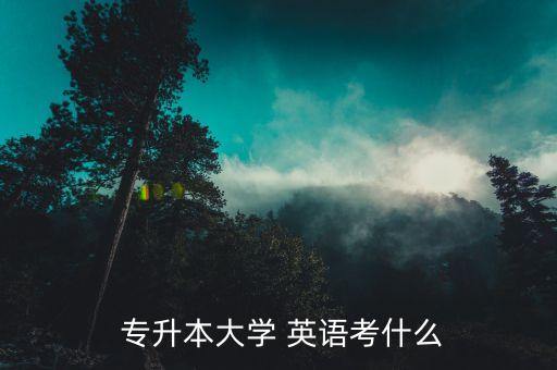  專升本大學 英語考什么