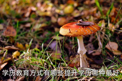 學歷教育方式有哪些提升學歷哪種最好