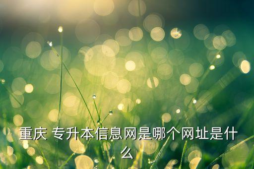  重慶 專升本信息網(wǎng)是哪個(gè)網(wǎng)址是什么