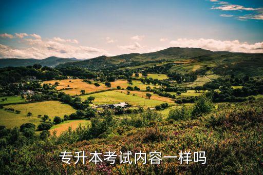 福建專升本基礎(chǔ)英語試題,2022山東專升本英語試題