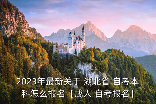 2023年最新關(guān)于 湖北省 自考本科怎么報(bào)名【成人 自考報(bào)名】