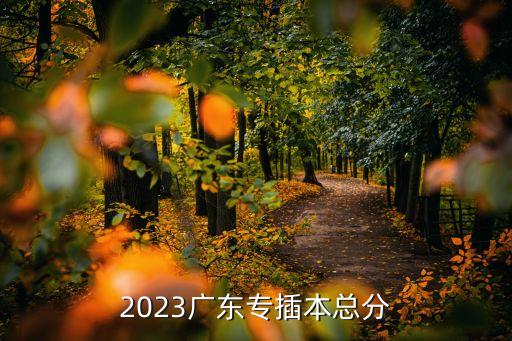 2023廣東專插本總分