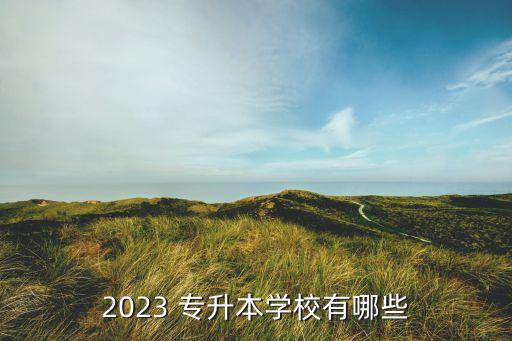 2023 專升本學(xué)校有哪些