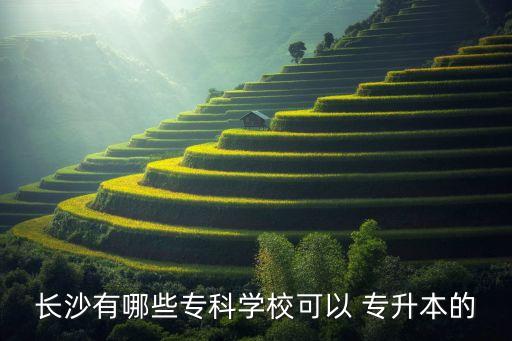 長(zhǎng)沙有哪些?？茖W(xué)?？梢?專升本的